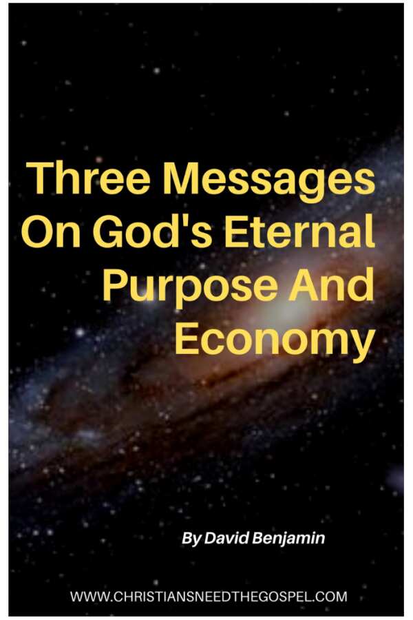 3 Messages - God's Eternal Purpose and Economy (ebook)